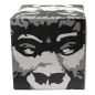 Preview: Gorilla Cubes 1kg (26mm)